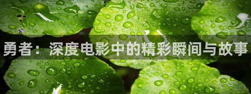 万利达青苹果影院