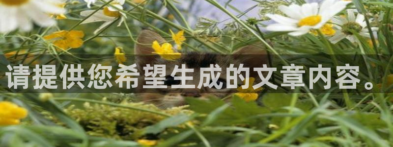 新闻图片